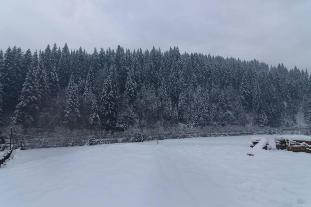 Буковеньки Гостинний Дім Та Котеджі Bukovel Exterior photo
