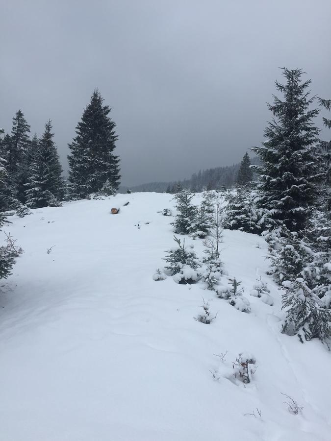 Буковеньки Гостинний Дім Та Котеджі Bukovel Exterior photo
