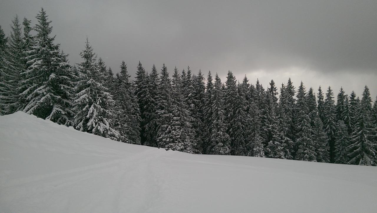Буковеньки Гостинний Дім Та Котеджі Bukovel Exterior photo
